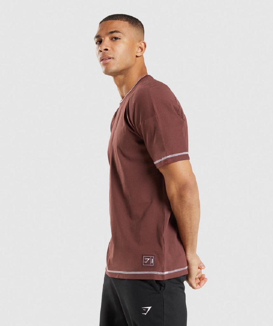T Shirts Gymshark Recess ανδρικα ροζ καφε ασπρα | GR_EG2999