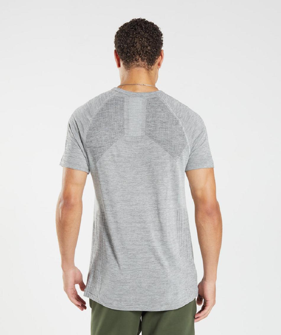 T Shirts Gymshark Retake Seamless ανδρικα ανοιχτο γκρι μαυρα | GR_VV1110