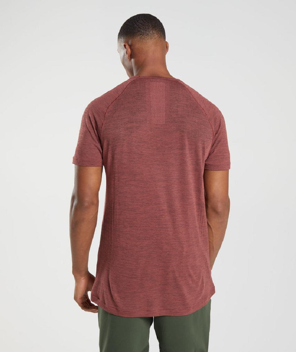 T Shirts Gymshark Retake Seamless ανδρικα ροζ καφε μαυρα | GR_IM5601