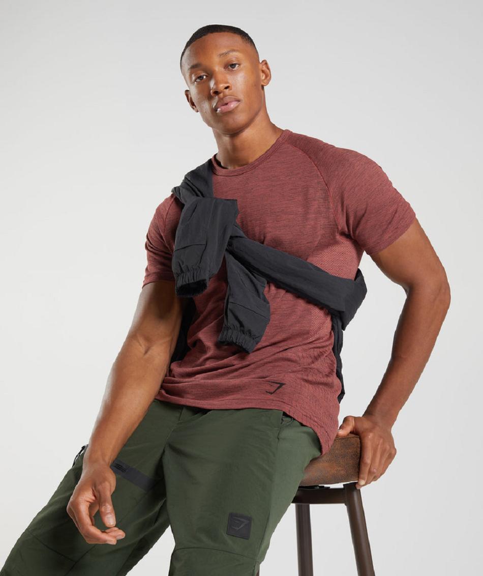 T Shirts Gymshark Retake Seamless ανδρικα ροζ καφε μαυρα | GR_IM5601