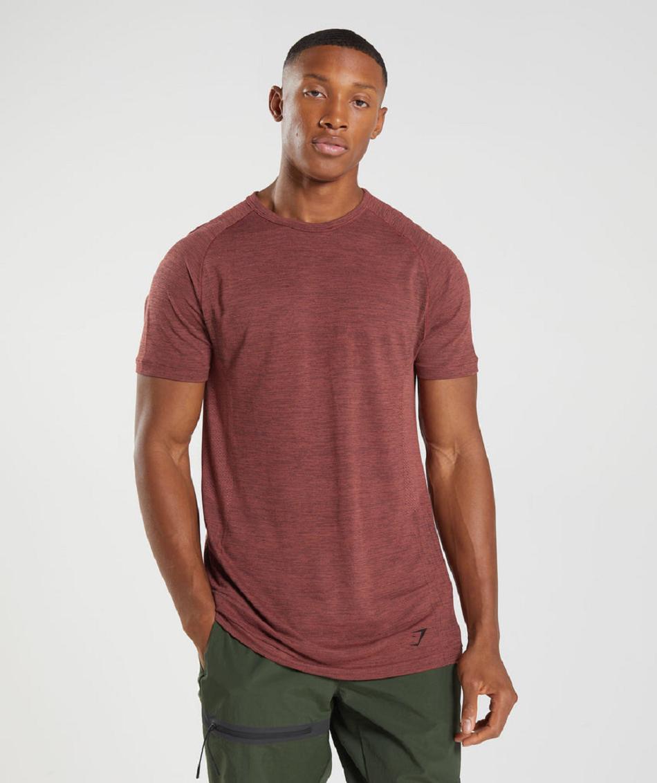 T Shirts Gymshark Retake Seamless ανδρικα ροζ καφε μαυρα | GR_IM5601
