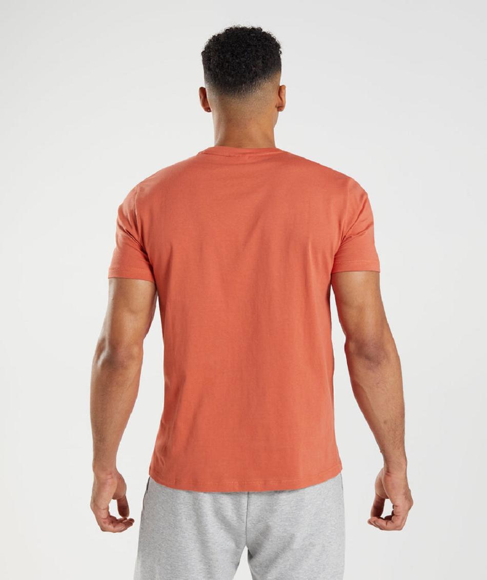 T Shirts Gymshark Sharkhead Infill ανδρικα κοκκινα | GR_BO5741