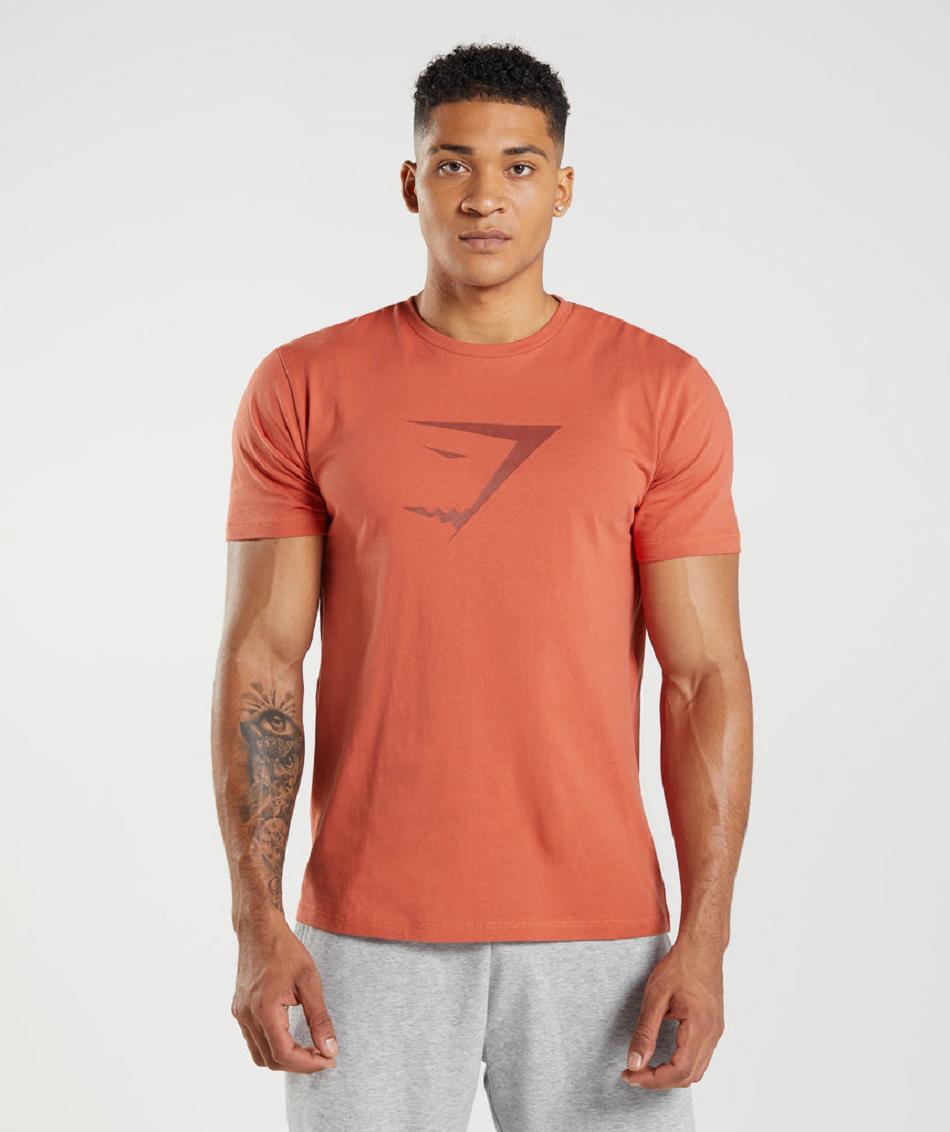 T Shirts Gymshark Sharkhead Infill ανδρικα κοκκινα | GR_BO5741