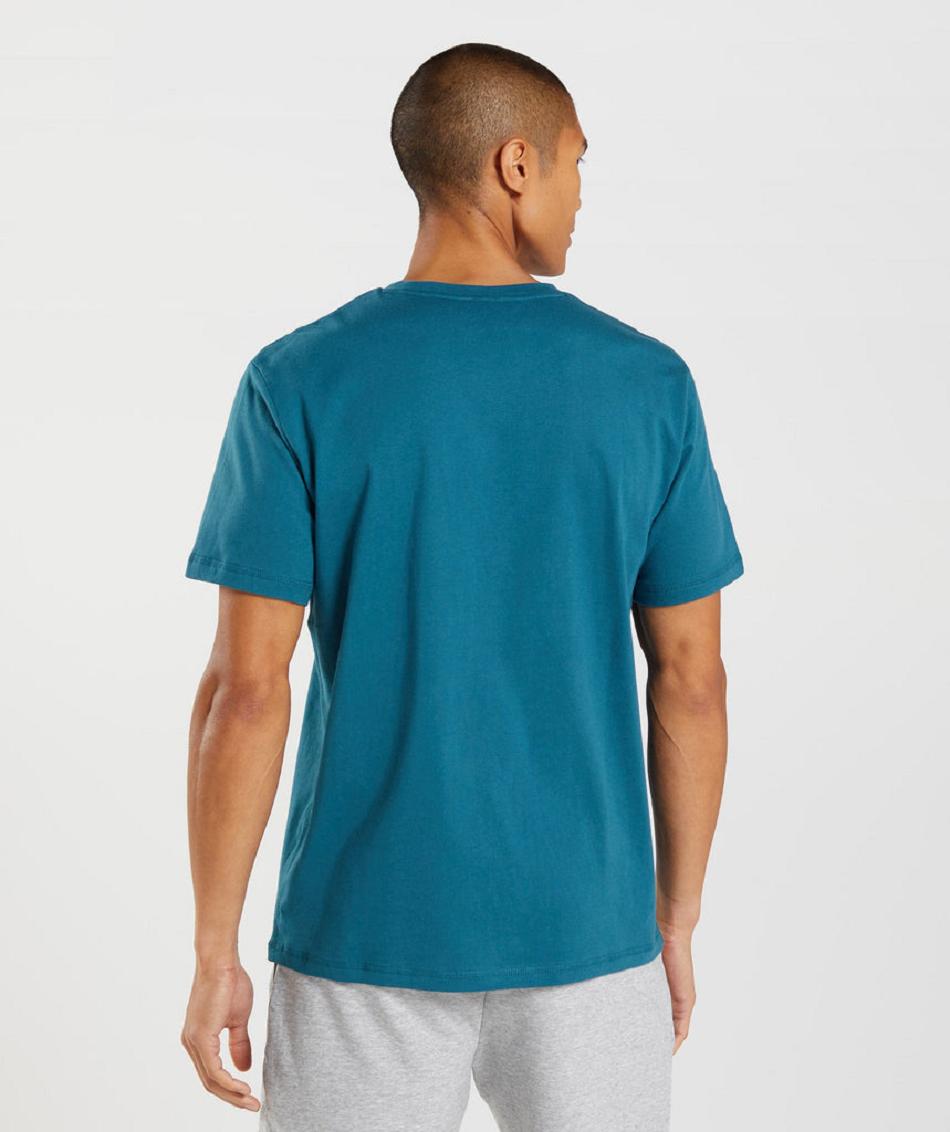 T Shirts Gymshark Sharkhead Infill ανδρικα μπλε | GR_EP1427