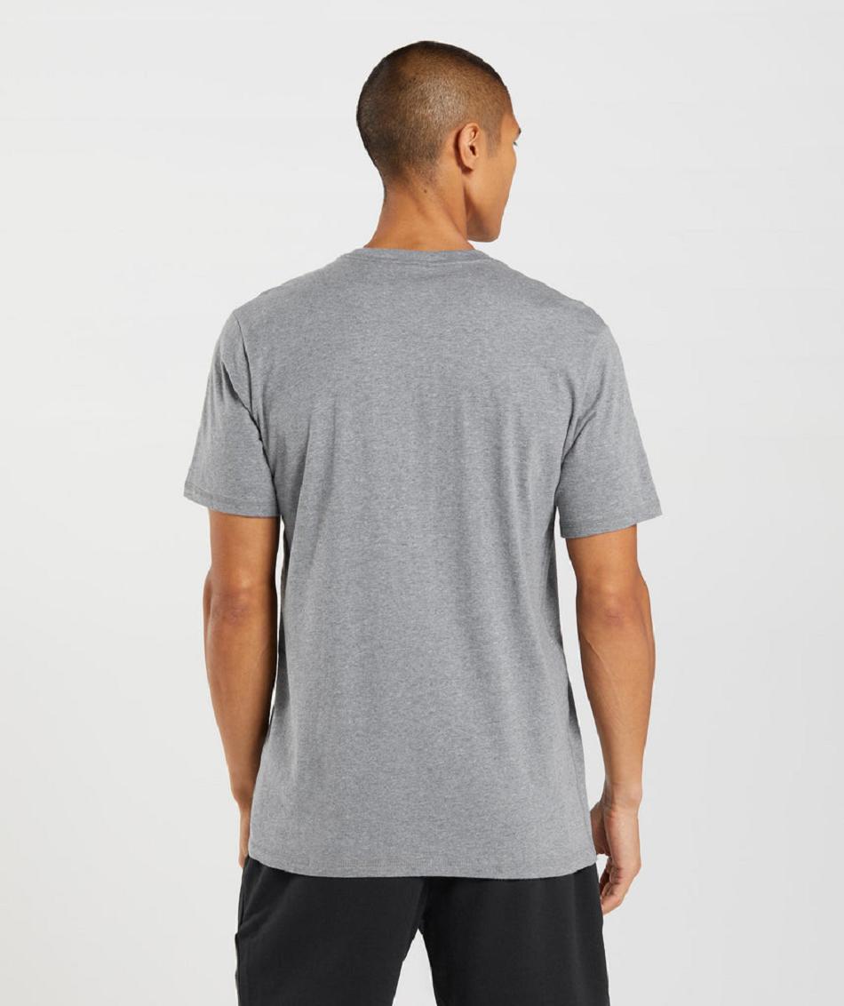 T Shirts Gymshark Sharkhead Infill ανδρικα γκρι | GR_SG8704
