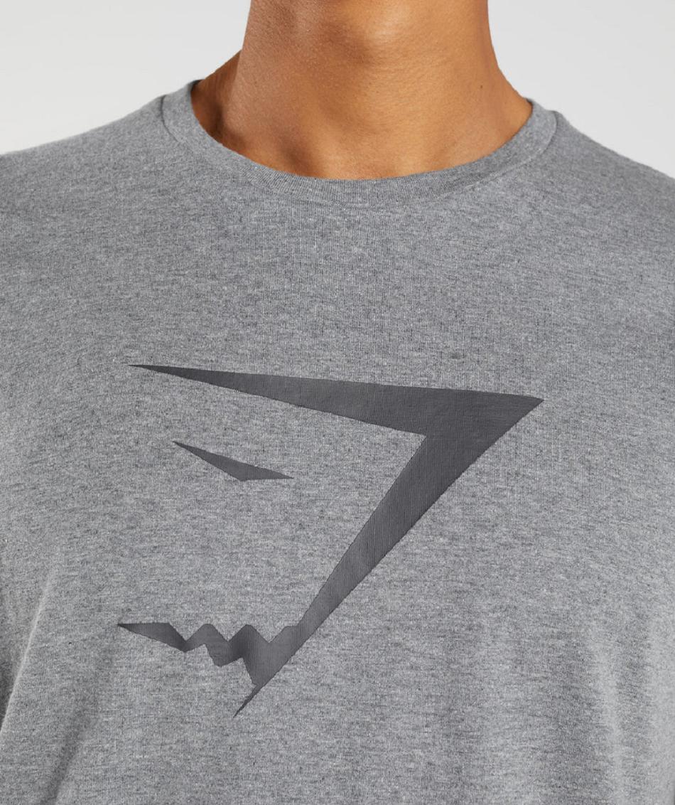 T Shirts Gymshark Sharkhead Infill ανδρικα γκρι | GR_SG8704