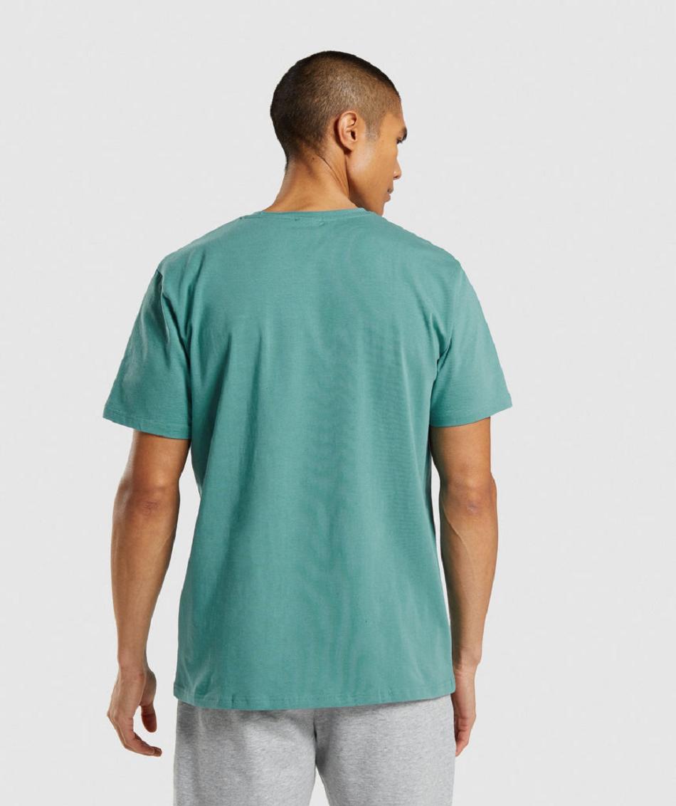 T Shirts Gymshark Sharkhead Infill ανδρικα τυρκουάζ | GR_AS3074