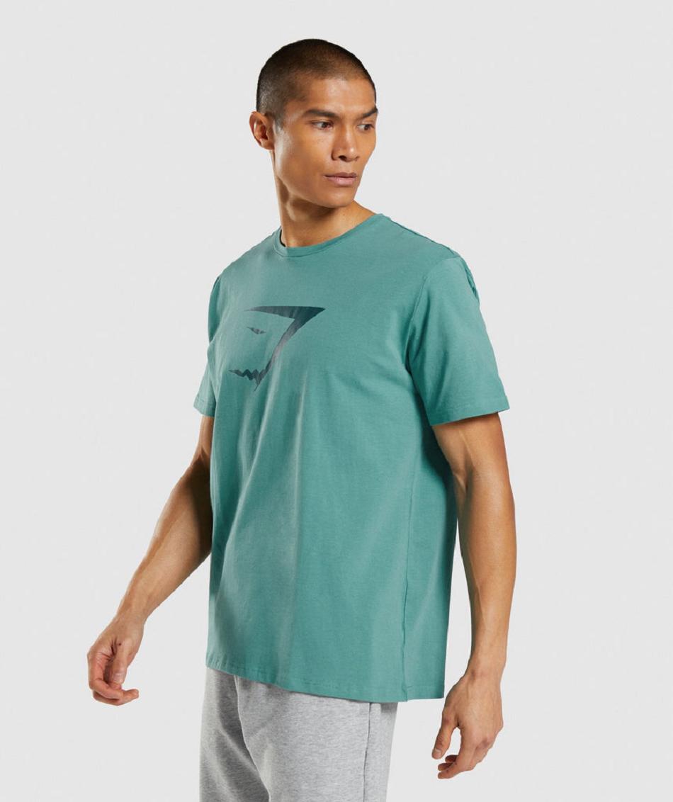 T Shirts Gymshark Sharkhead Infill ανδρικα τυρκουάζ | GR_AS3074