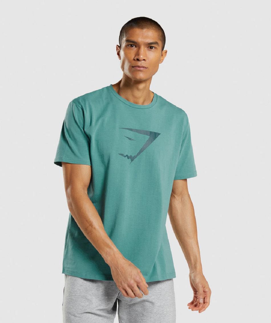 T Shirts Gymshark Sharkhead Infill ανδρικα τυρκουάζ | GR_AS3074