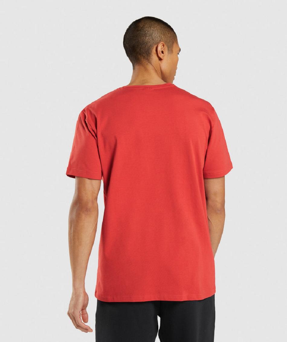 T Shirts Gymshark Sharkhead Infill ανδρικα κοκκινα | GR_N9053