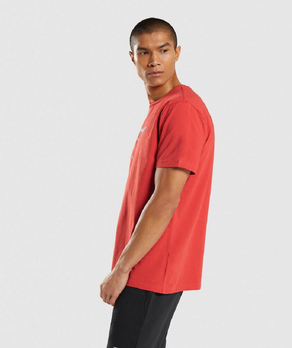 T Shirts Gymshark Sharkhead Infill ανδρικα κοκκινα | GR_N9053