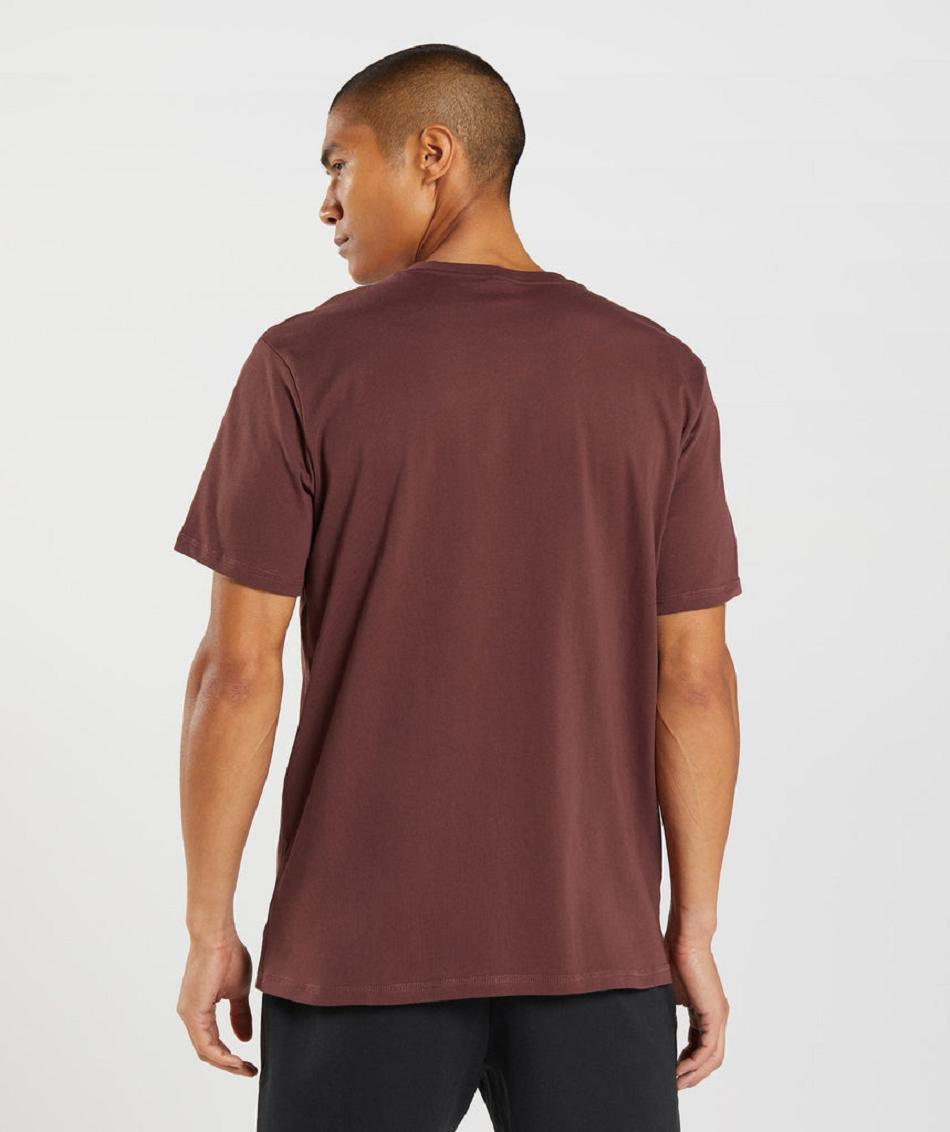 T Shirts Gymshark Sharkhead Infill ανδρικα ροζ καφε | GR_YJ9411