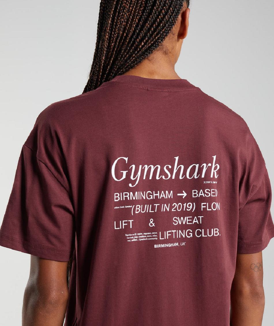 T Shirts Gymshark Social Club Oversized γυναικεια ροζ καφε | GR_R5817