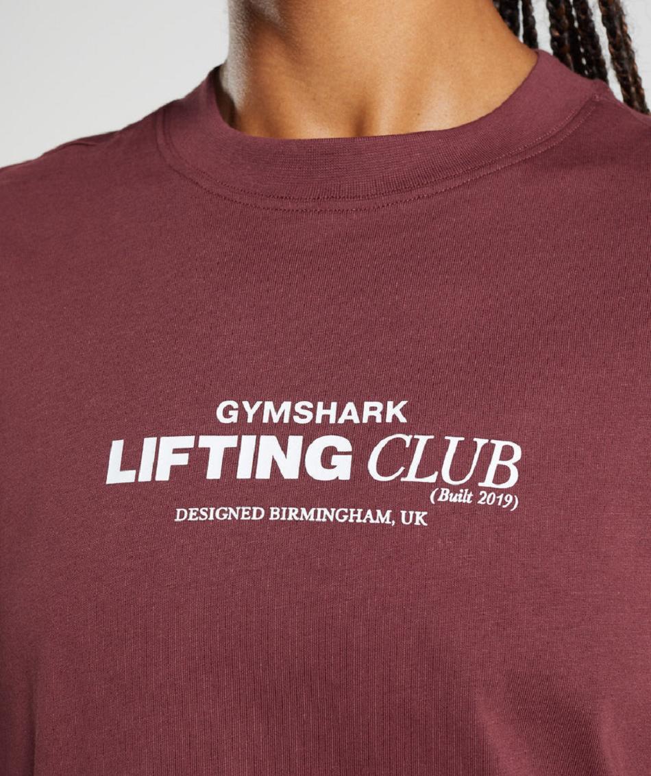 T Shirts Gymshark Social Club Oversized γυναικεια ροζ καφε | GR_R5817
