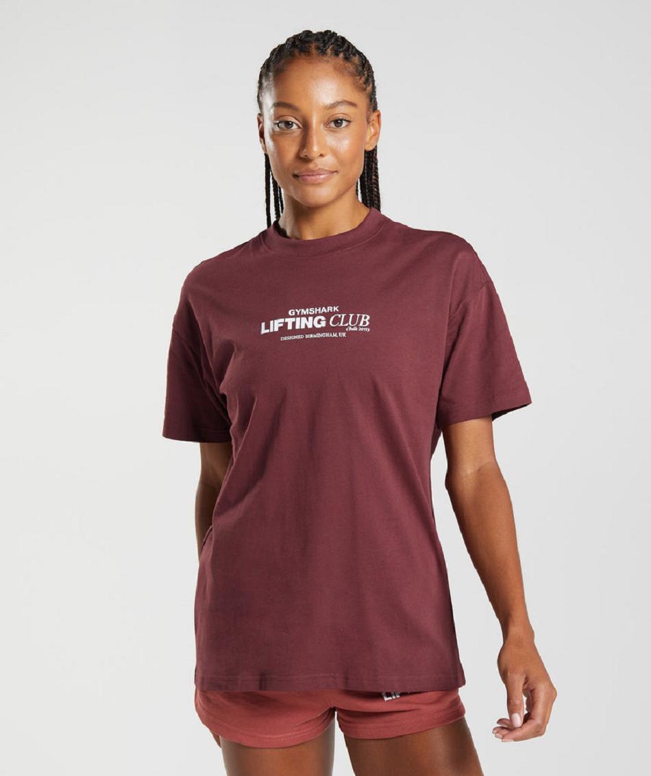 T Shirts Gymshark Social Club Oversized γυναικεια ροζ καφε | GR_R5817