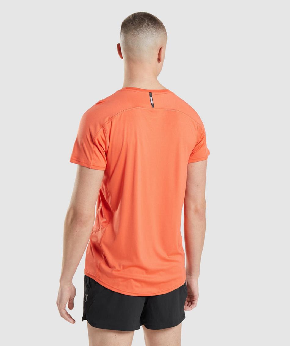 T Shirts Gymshark Speed Evolve ανδρικα πορτοκαλι | GR_AZ5086