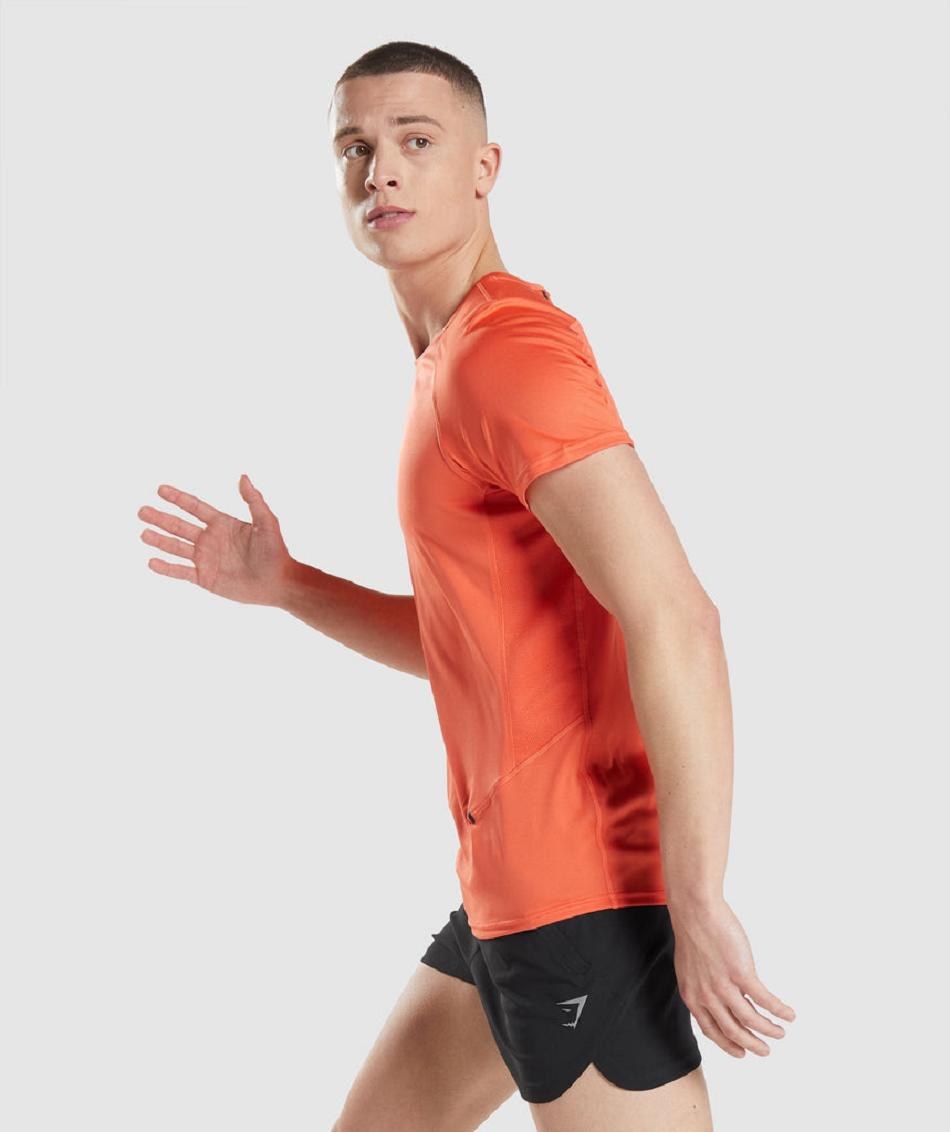 T Shirts Gymshark Speed Evolve ανδρικα πορτοκαλι | GR_AZ5086