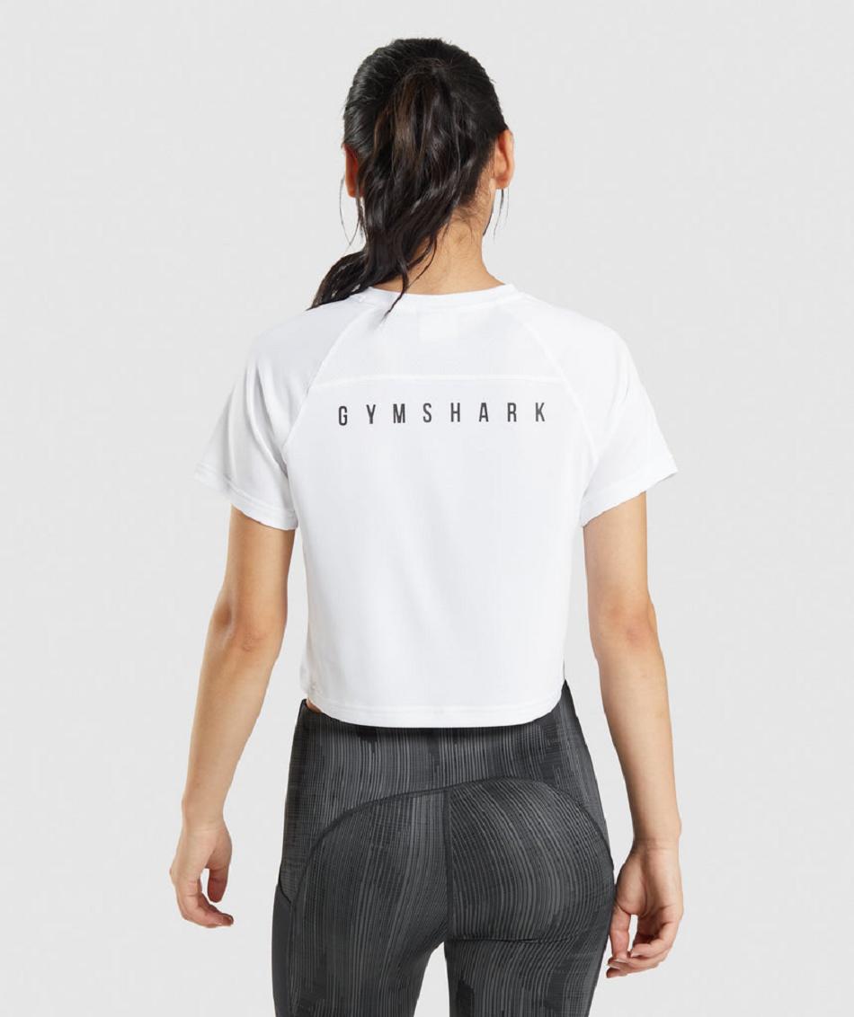 T Shirts Gymshark Sport Midi γυναικεια ασπρα | GR_AZ1941