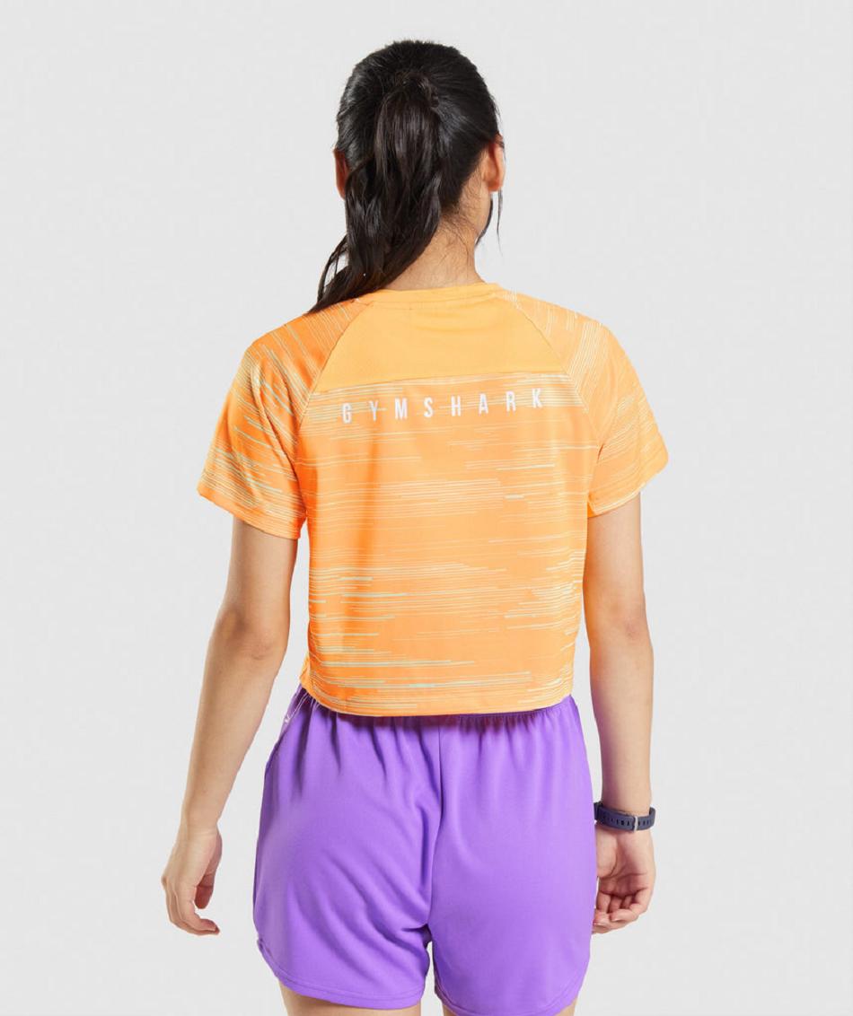 T Shirts Gymshark Sport Midi γυναικεια πορτοκαλι | GR_BO1418