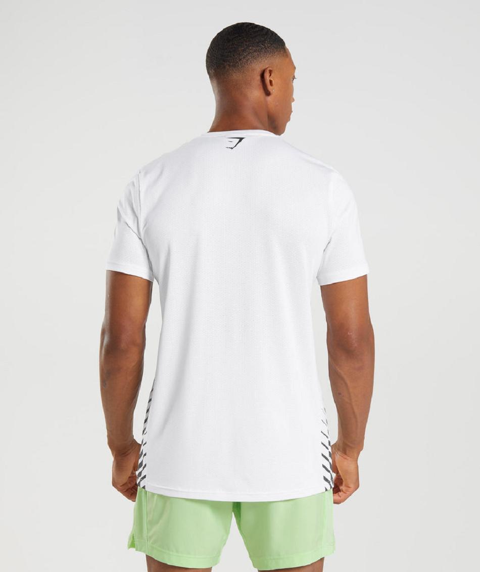 T Shirts Gymshark Sport Stripe ανδρικα ασπρα | GR_TA1873