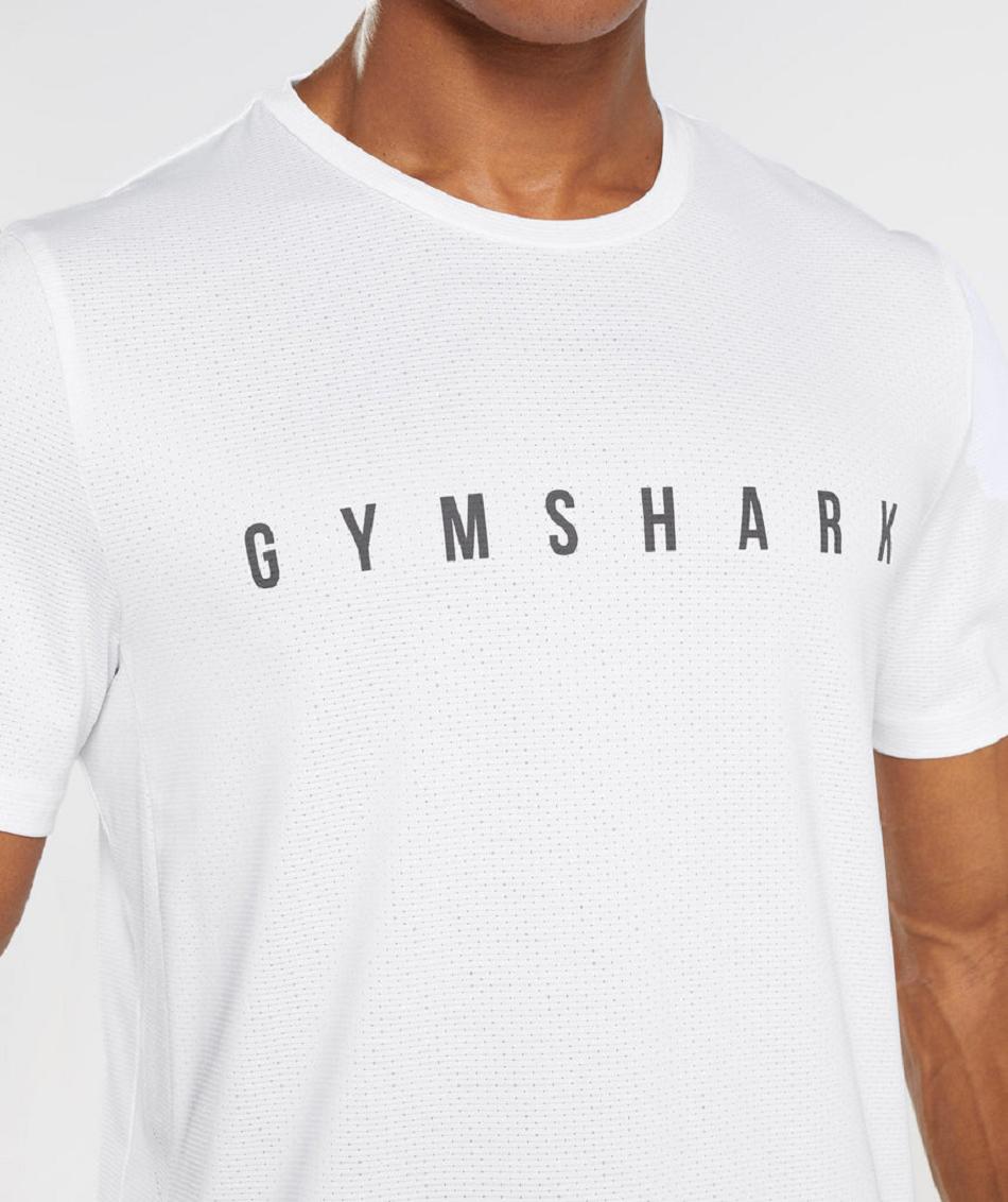 T Shirts Gymshark Sport Stripe ανδρικα ασπρα | GR_TA1873
