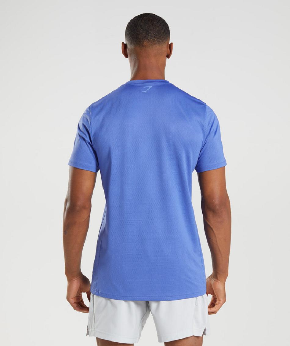 T Shirts Gymshark Sport Stripe ανδρικα μπλε | GR_VV9426