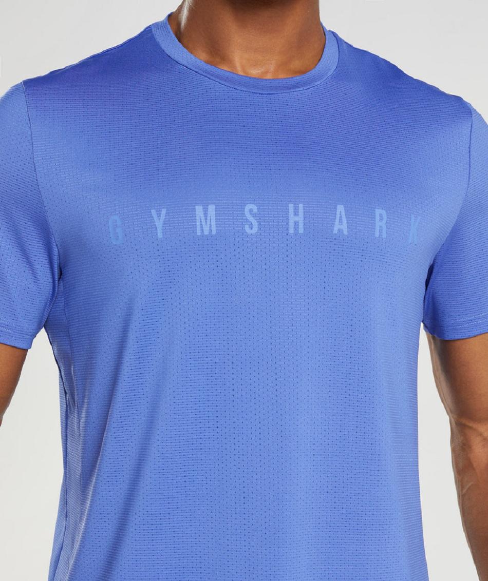 T Shirts Gymshark Sport Stripe ανδρικα μπλε | GR_VV9426