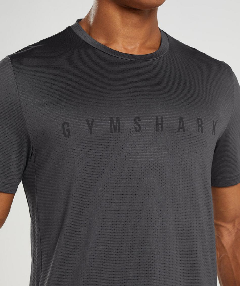 T Shirts Gymshark Sport Stripe ανδρικα μαυρα γκρι | GR_O7773