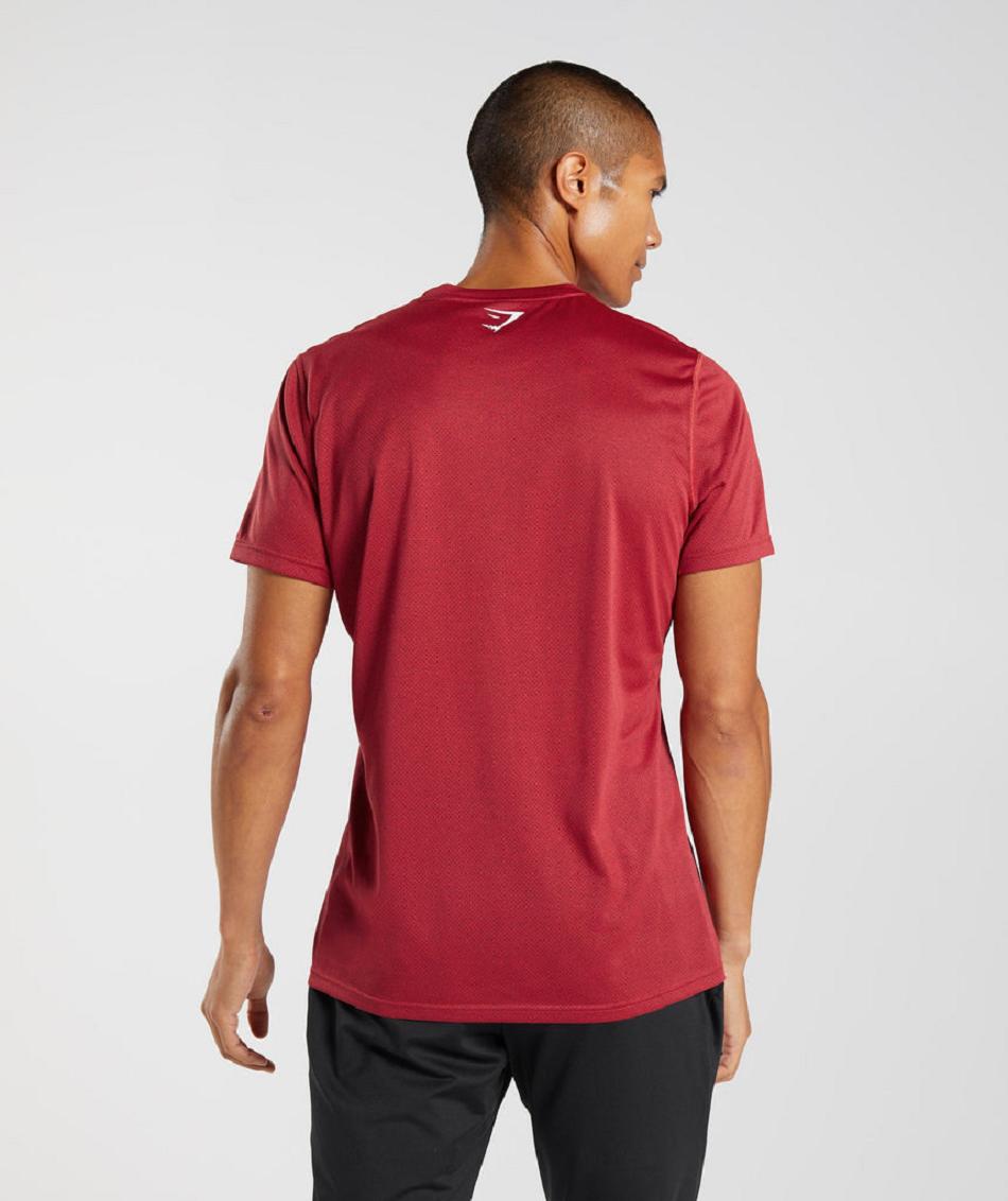 T Shirts Gymshark Sport ανδρικα κοκκινα μαυρα | GR_N9392
