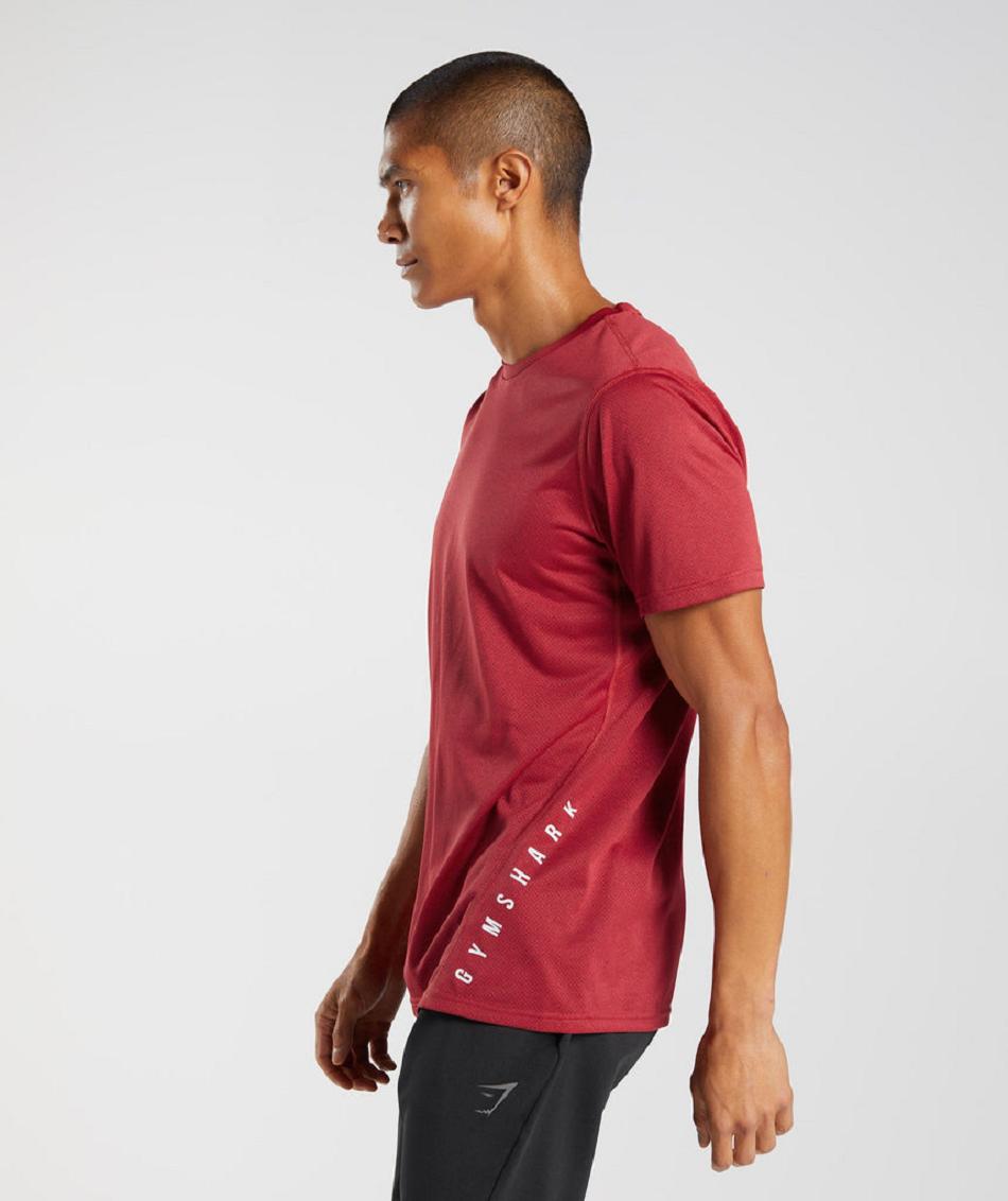 T Shirts Gymshark Sport ανδρικα κοκκινα μαυρα | GR_N9392