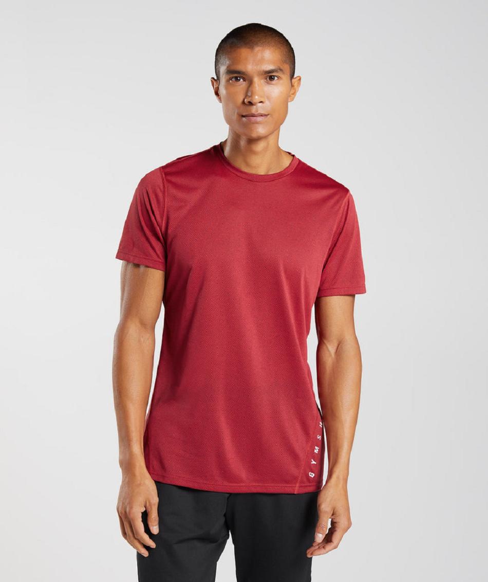 T Shirts Gymshark Sport ανδρικα κοκκινα μαυρα | GR_N9392