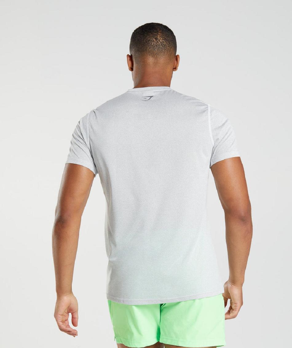T Shirts Gymshark Sport ανδρικα ασπρα γκρι | GR_UV6180