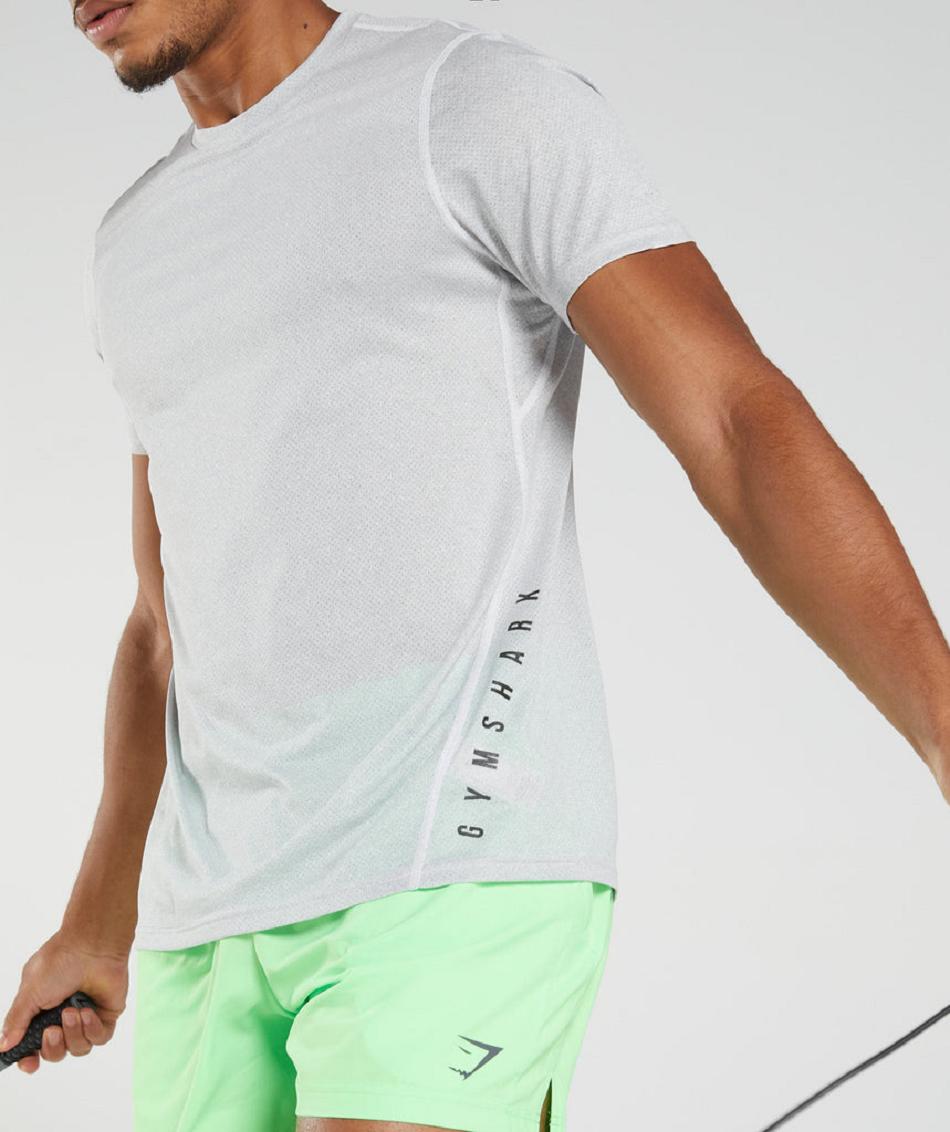 T Shirts Gymshark Sport ανδρικα ασπρα γκρι | GR_UV6180