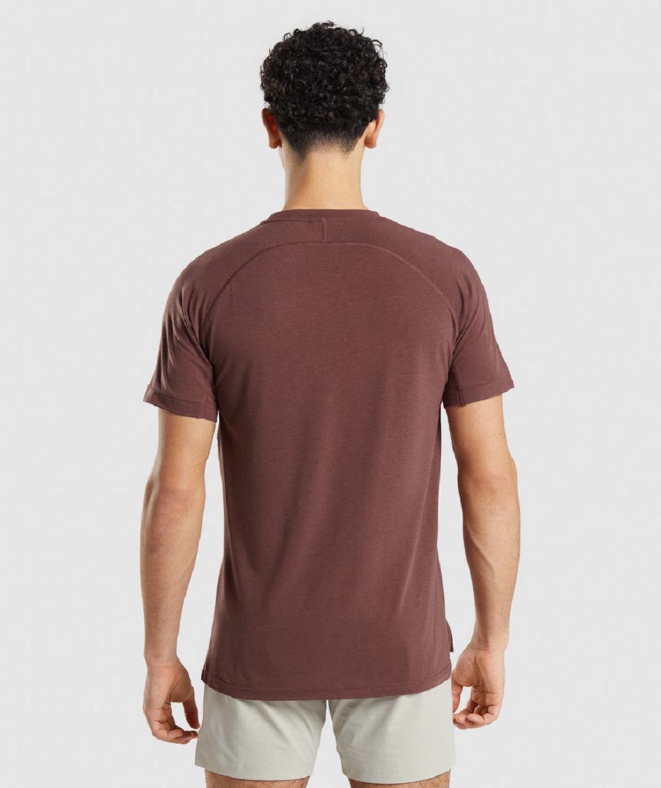T Shirts Gymshark Studio Amplify ανδρικα ροζ καφε | GR_SU7435