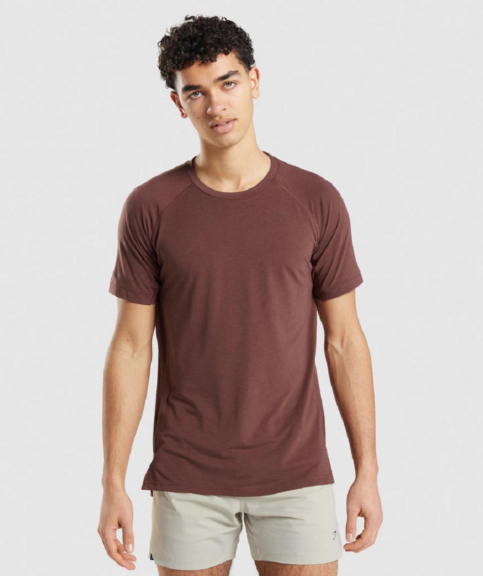 T Shirts Gymshark Studio Amplify ανδρικα ροζ καφε | GR_SU7435