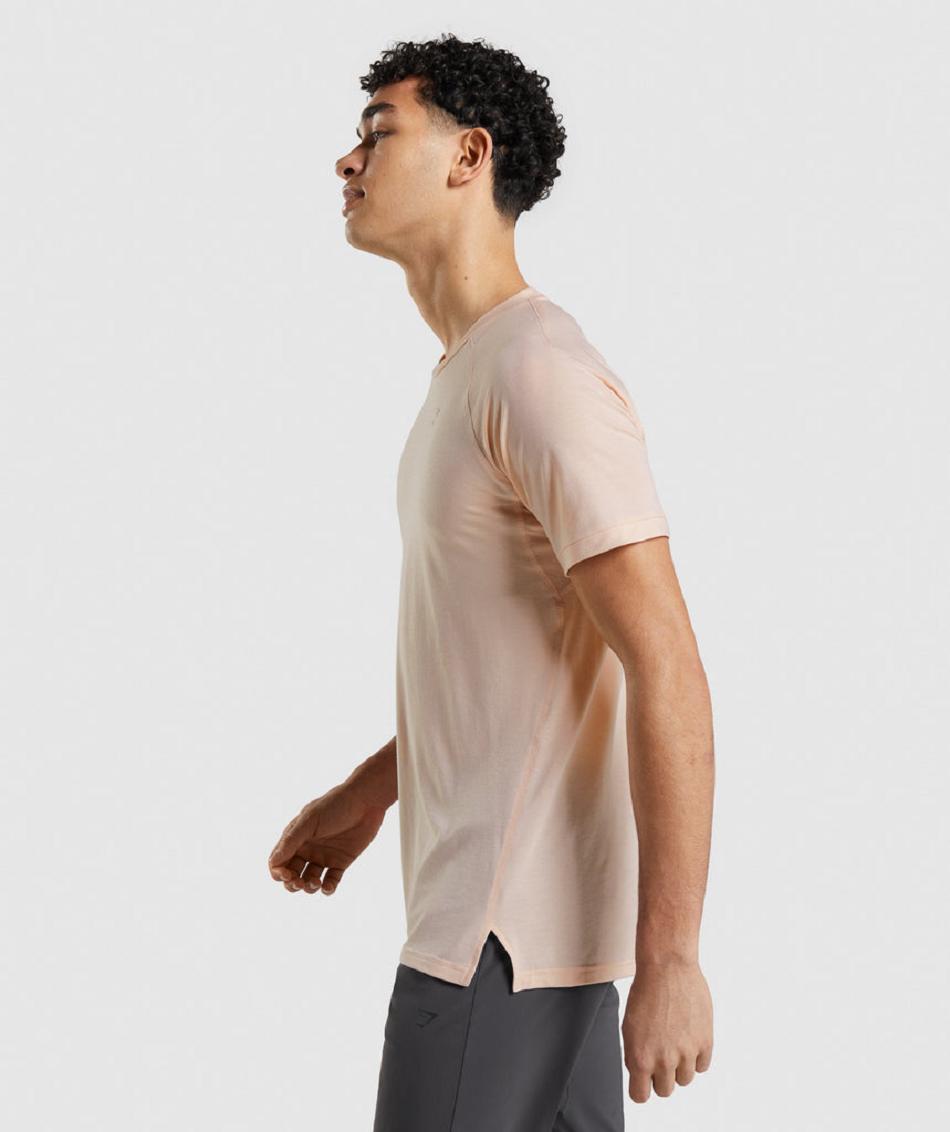 T Shirts Gymshark Studio Amplify ανδρικα μωβ ροζ | GR_ZI8619