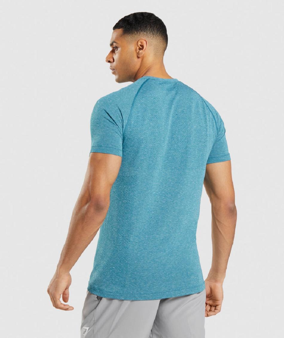T Shirts Gymshark Vital Light Seamless ανδρικα τυρκουάζ | GR_S5588