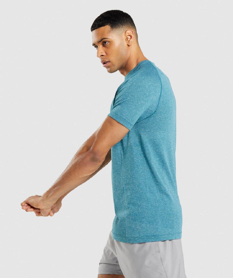 T Shirts Gymshark Vital Light Seamless ανδρικα τυρκουάζ | GR_S5588