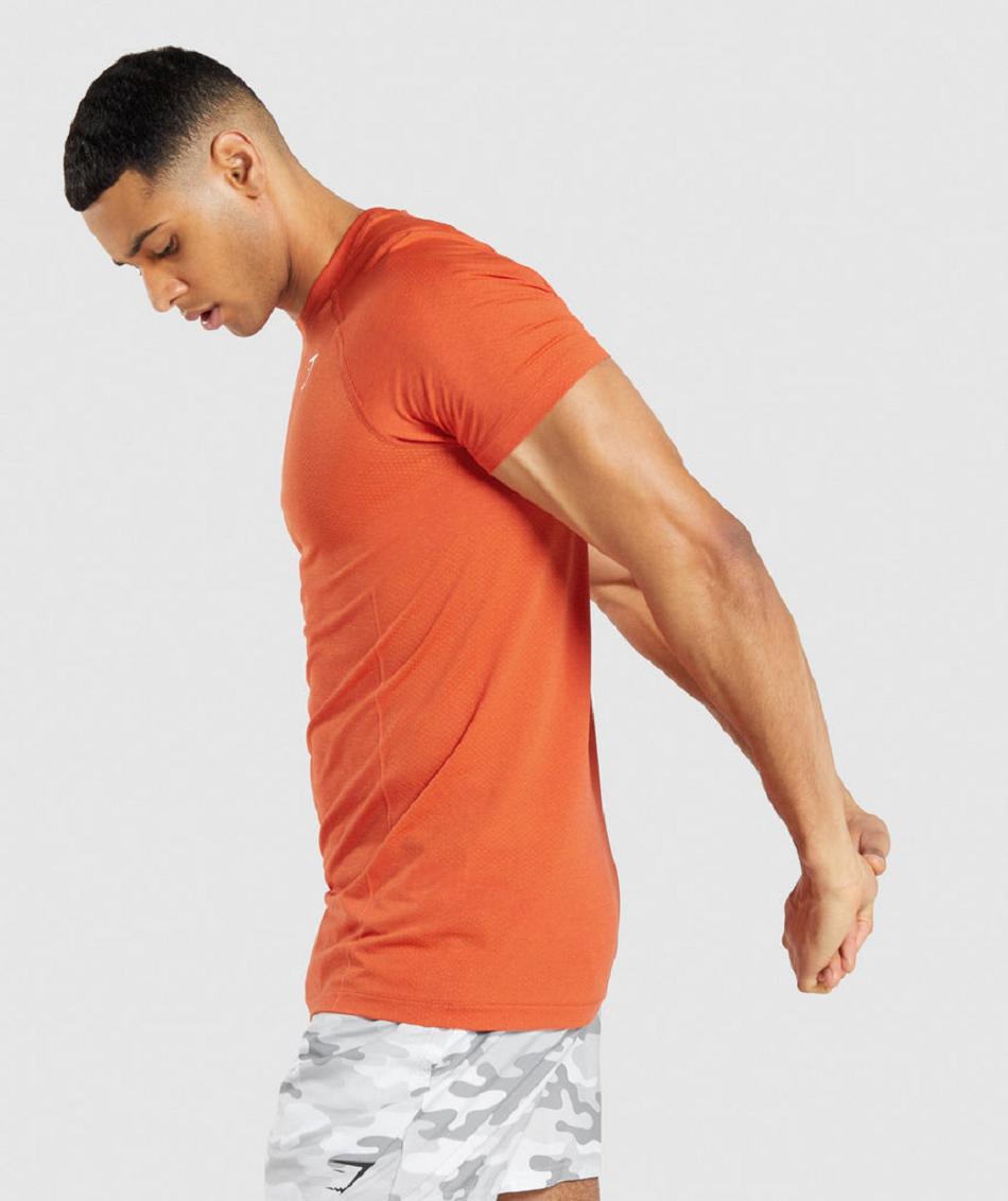 T Shirts Gymshark Vital Light Seamless ανδρικα πορτοκαλι | GR_K2714