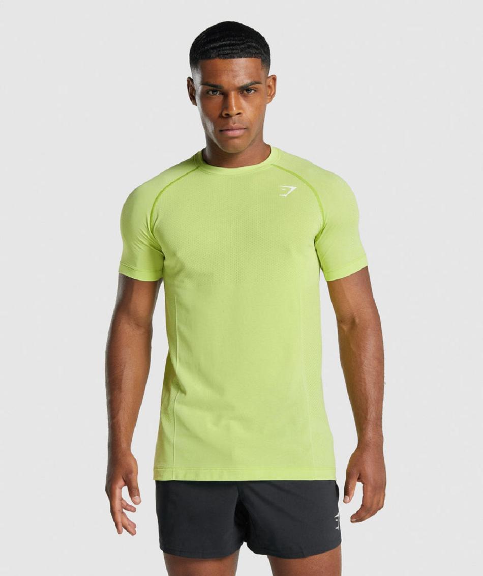 T Shirts Gymshark Vital Light Seamless ανδρικα κίτρινα | GR_N8146