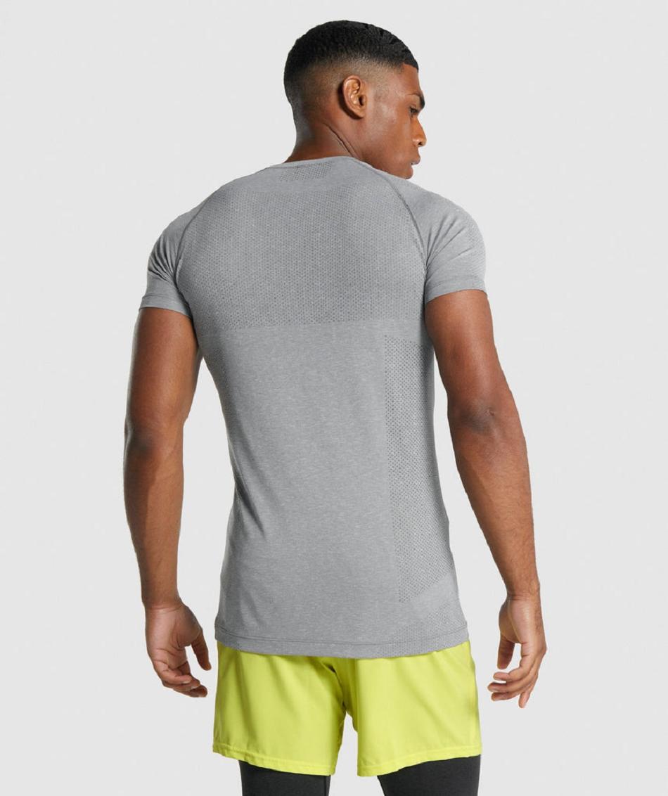 T Shirts Gymshark Vital Light Seamless ανδρικα γκρι | GR_TC3313