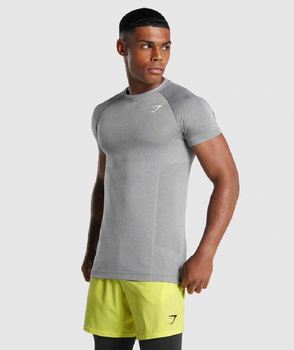 T Shirts Gymshark Vital Light Seamless ανδρικα γκρι | GR_TC3313