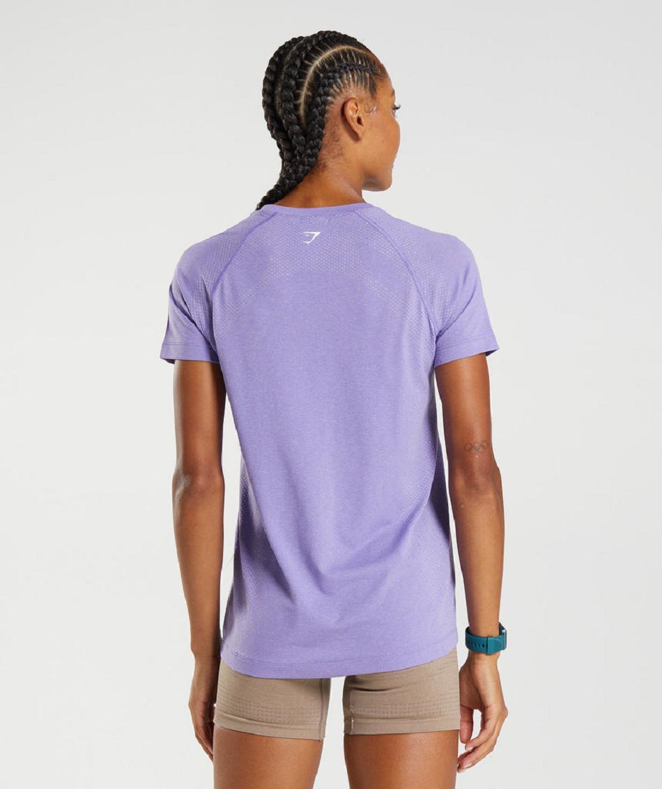 T Shirts Gymshark Vital Seamless 2.0 Light γυναικεια μωβ | GR_O8585