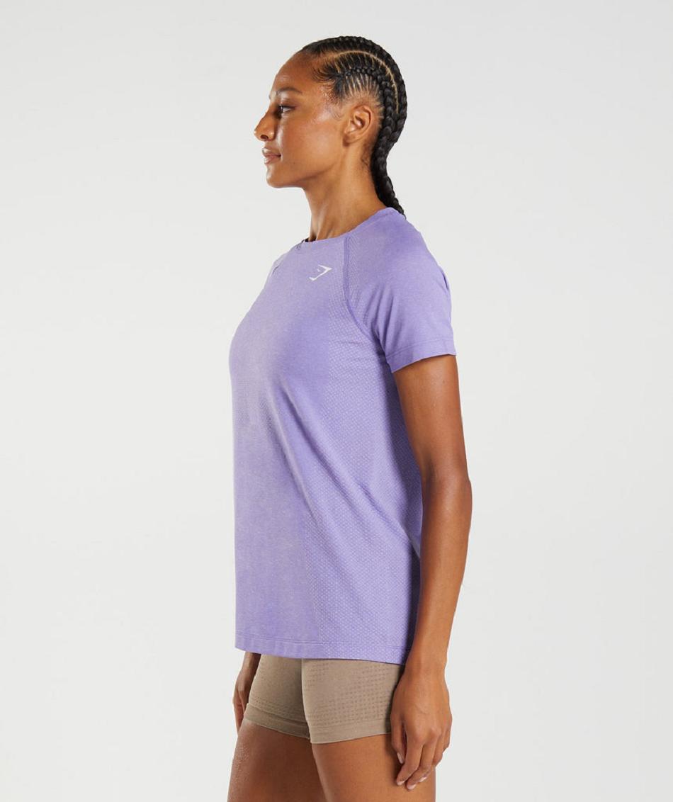T Shirts Gymshark Vital Seamless 2.0 Light γυναικεια μωβ | GR_O8585