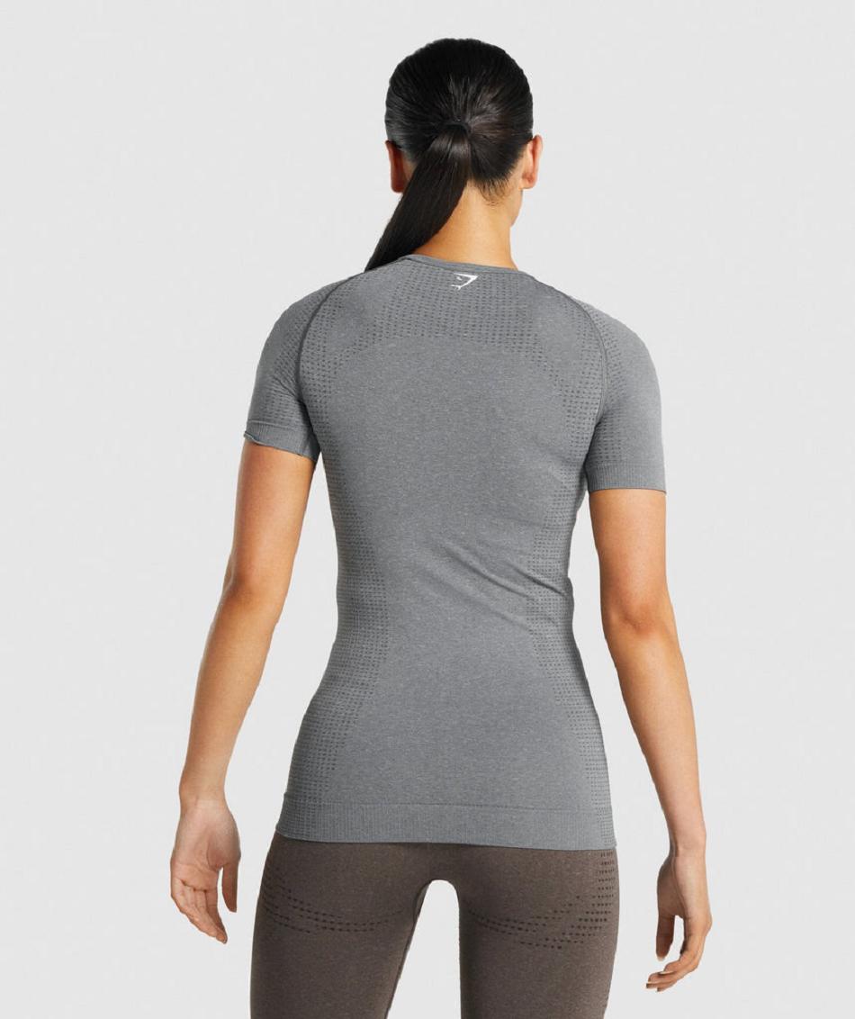 T Shirts Gymshark Vital Seamless 2.0 γυναικεια γκρι | GR_NN5688
