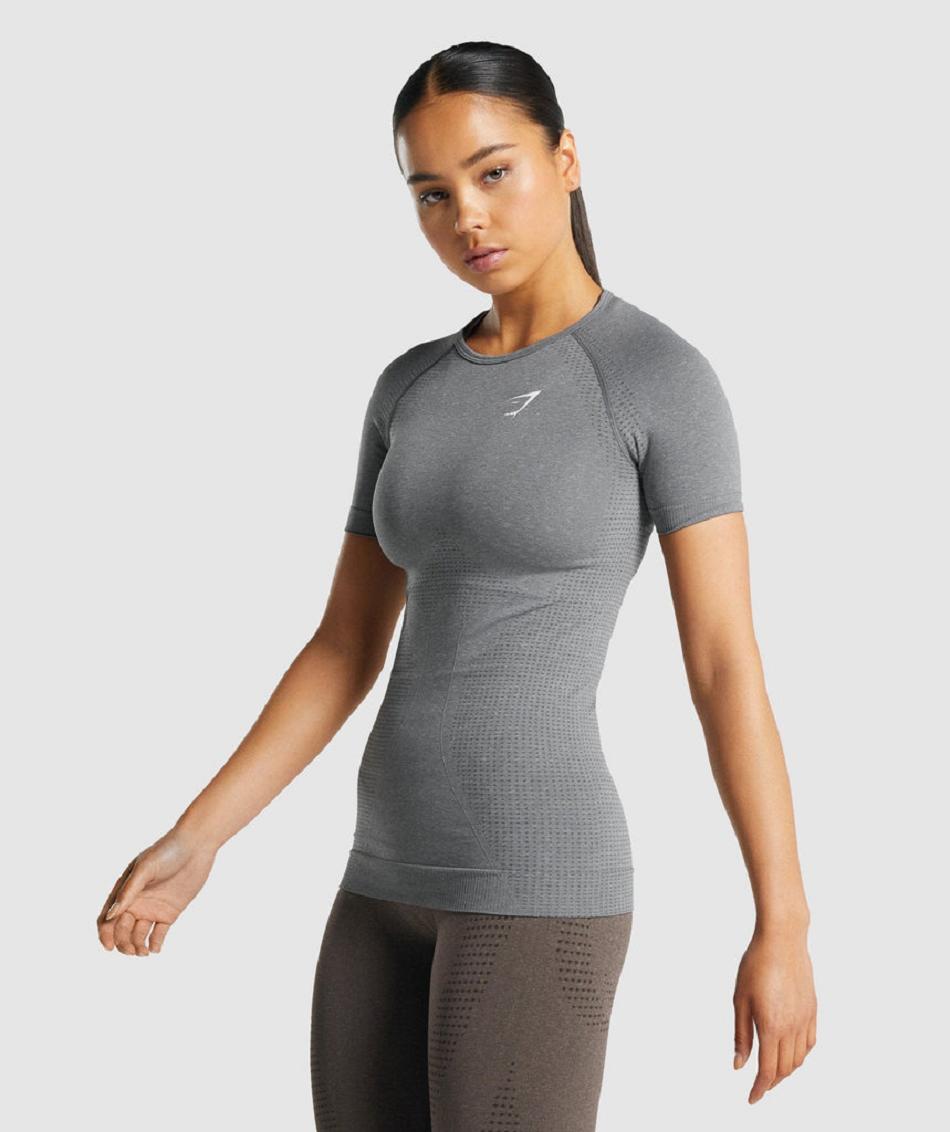 T Shirts Gymshark Vital Seamless 2.0 γυναικεια γκρι | GR_NN5688