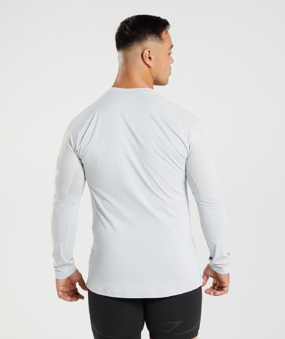 Μακρυμανικο Gymshark 315 ανδρικα ανοιχτο γκρι | GR_BO9991