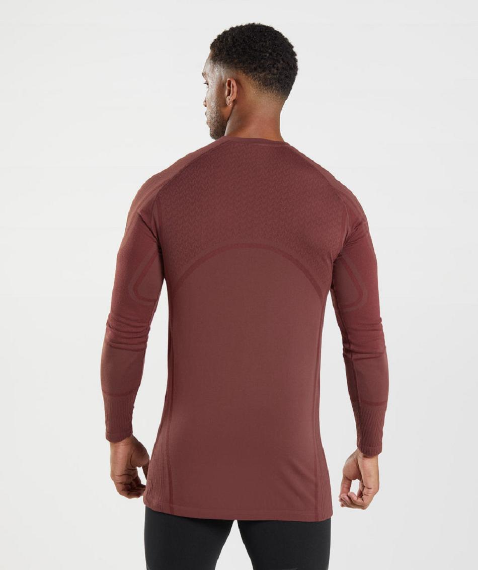 Μακρυμανικο Gymshark 315 ανδρικα ροζ καφε | GR_CR6207