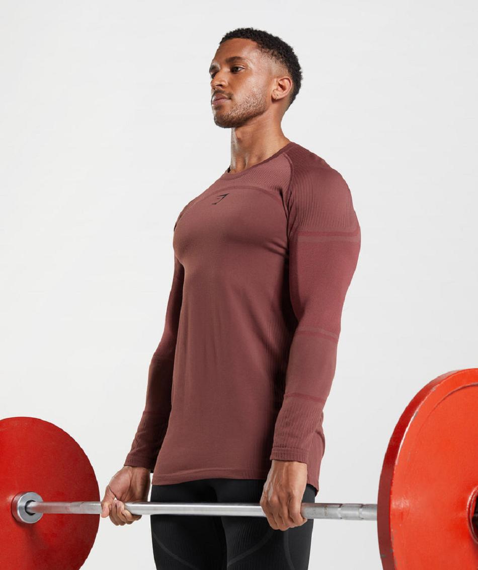 Μακρυμανικο Gymshark 315 ανδρικα ροζ καφε | GR_CR6207
