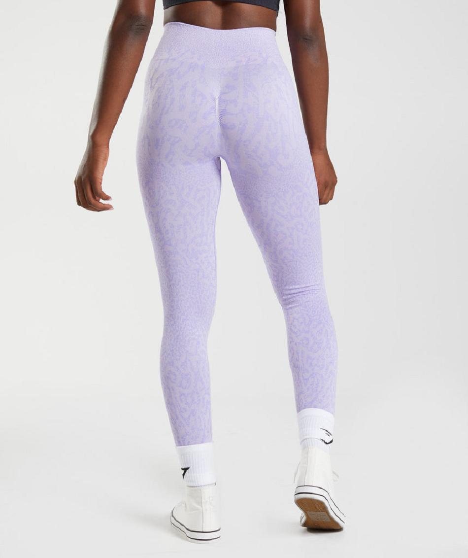 Κολαν Gymshark Adapt Animal Seamless γυναικεια μωβ | GR_S2355